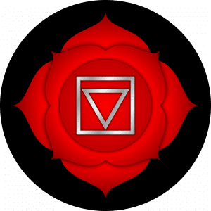 root, chakra, muladhara,energy