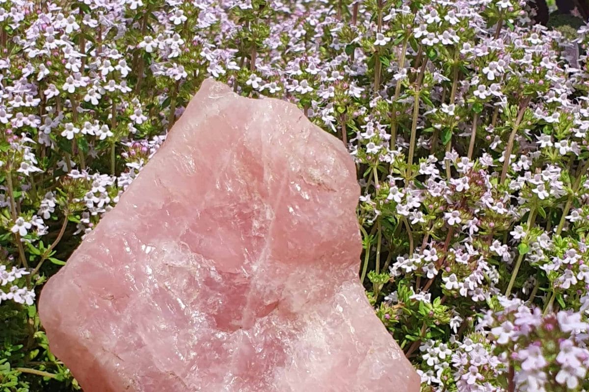 Rose Quartz Crystal