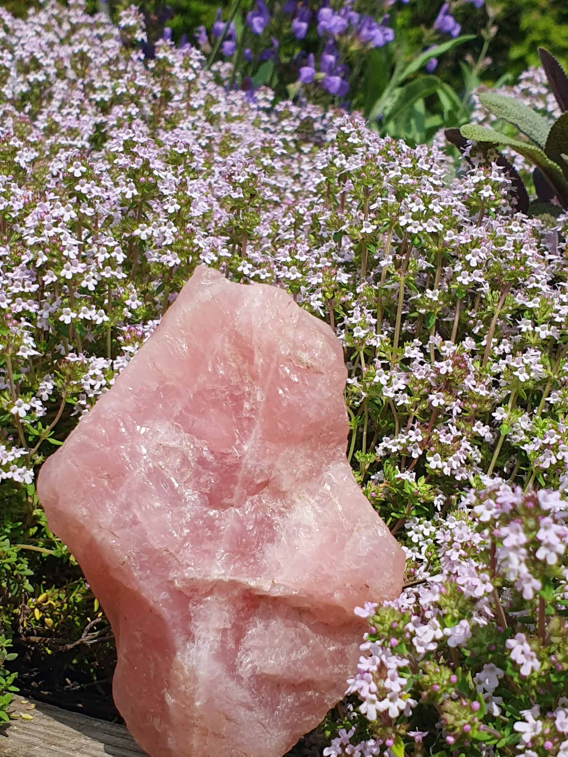 Rose Quartz Crystal